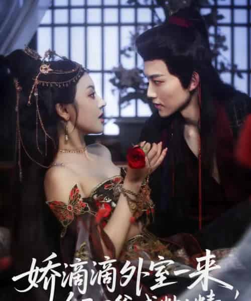 娇滴滴外室一来,冷面王爷成粘人精(107集全)周凌丰&廖慧敏(冷巴)-搜外项目网