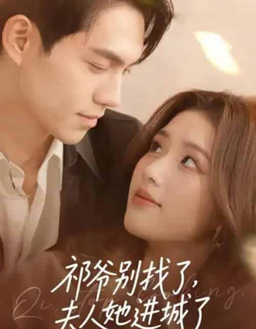 祁爷别找了，夫人她进城了（70集全）林瑞淇＆徐汇强-搜外项目网