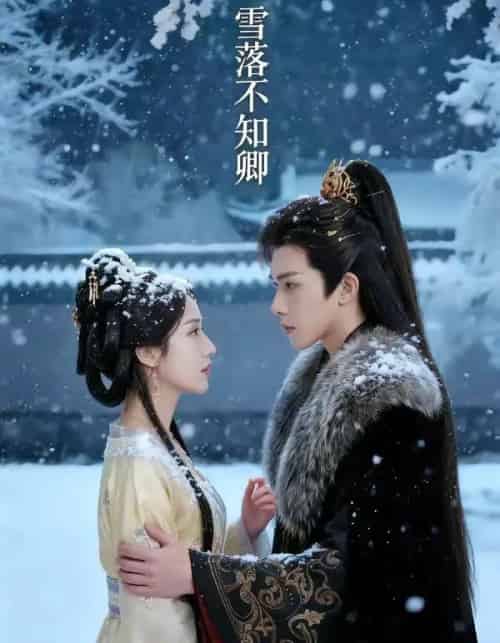 雪落不知卿（62集全）AI-搜外项目网