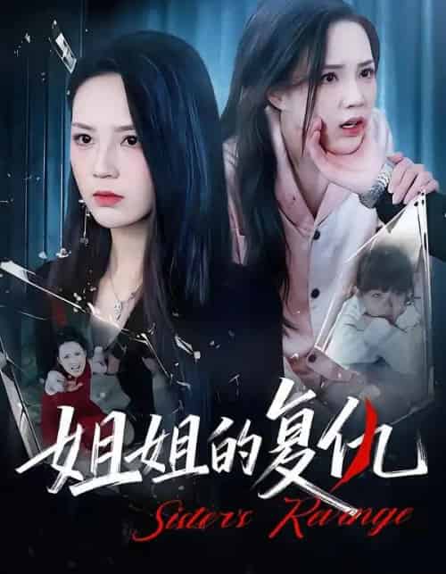 姐姐的复仇（61集全）张常宁＆姜翔天＆孟浩-搜外项目网