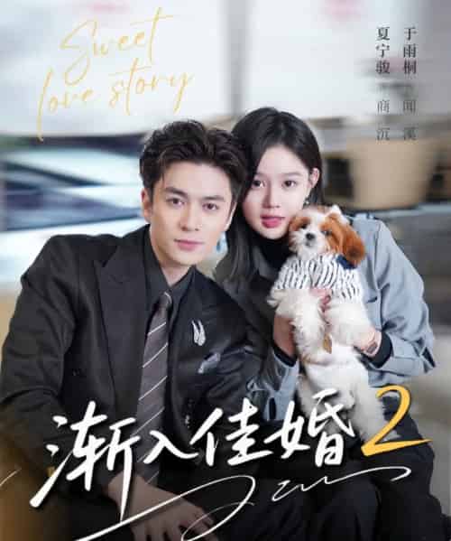 渐入佳婚2（103集全）夏宁骏＆于雨桐-搜外项目网