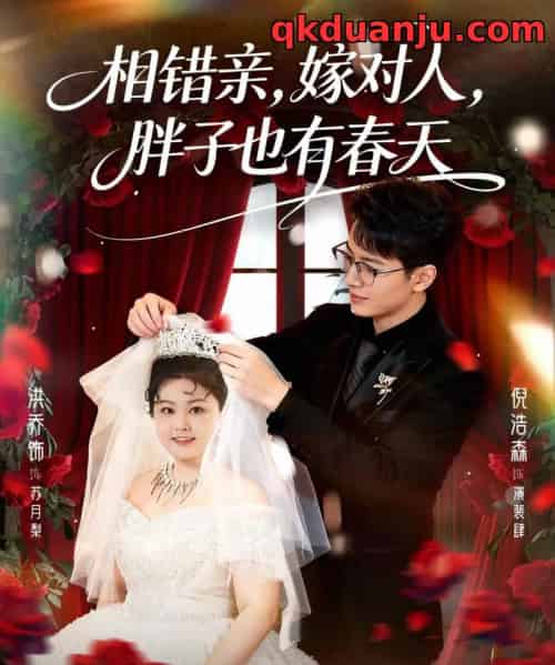 相错亲嫁对人胖子也有春天(80集全)洪乔&倪浩森-搜外项目网