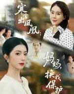 寒舍出凤凰妈妈换我保护你（75集全）肖琳＆朱凯杰-搜外项目网