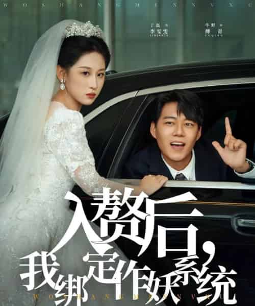 入赘后我绑定作妖系统（81集全）丁磊＆牛野-搜外项目网