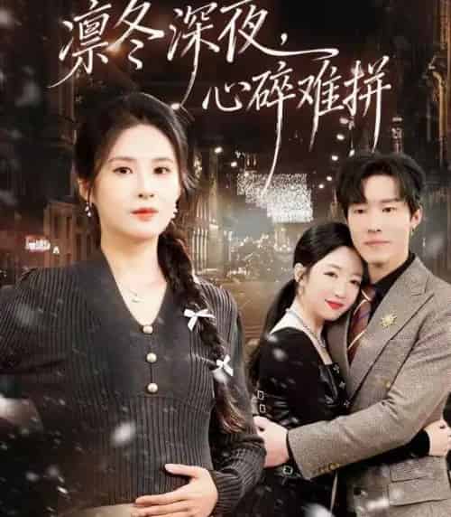凛冬深夜,心碎难拼(64集全)陈辰&陈酉昔-搜外项目网