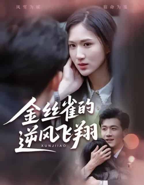 金丝雀的逆风飞翔（80集全）廖帕姿＆曹润辉-搜外项目网