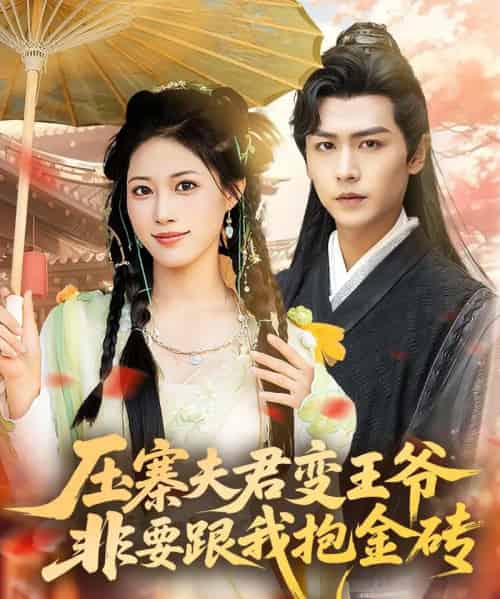 压寨夫君变王爷非要跟我抱金砖（69集）古风言情·女强·王熳熳＆孔德瑞-搜外项目网