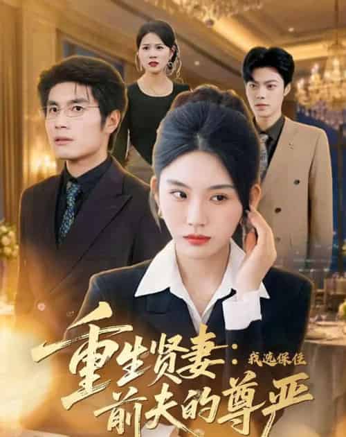 重生贤妻：我选保住前夫的尊严（80集全）齐博然＆张渊博-搜外项目网