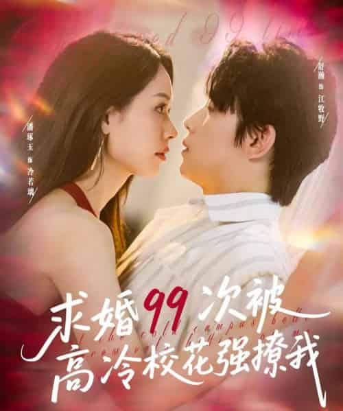求婚99次被高冷校花强撩我＆她是青梅你是茶，真诚才能走天涯（100集）舒瀚＆潘琢玉-搜外项目网