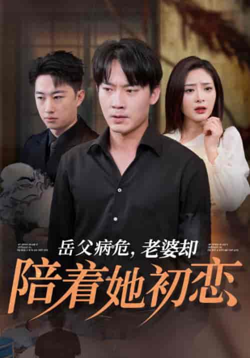 岳父病危，老婆却陪着她初恋（31集全）陆峰白＆宋绮梦-搜外项目网