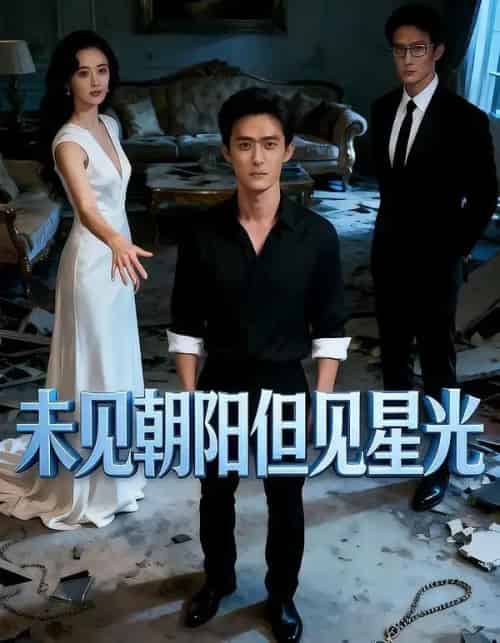 未见朝阳但见星光（34集全）Ai-搜外项目网