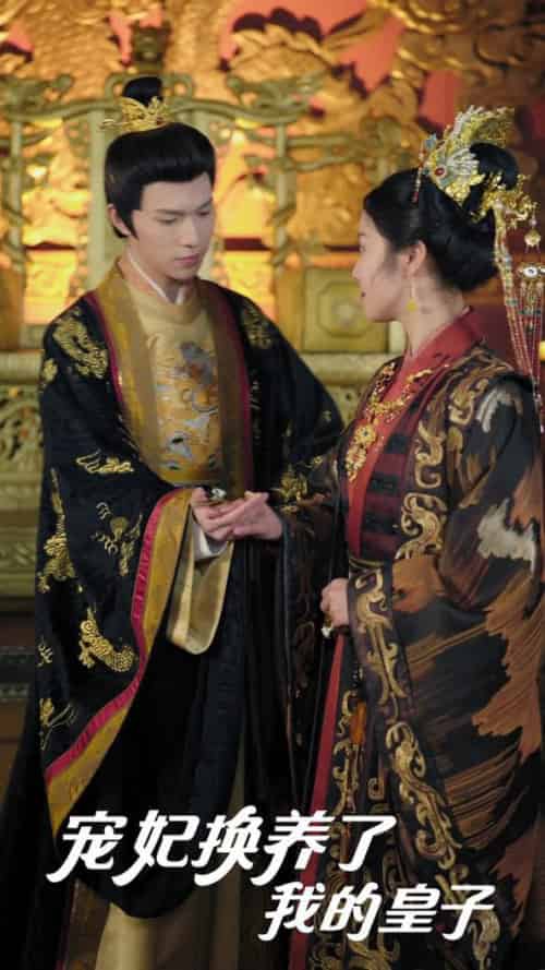 宠妃换养了我的皇子（60集全）李彤年＆白雪茹＆王欣滢-搜外项目网