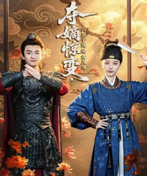 夺嫡惊变，六皇子竟是女儿身（80集全）高广泽＆刘艺潼-搜外项目网