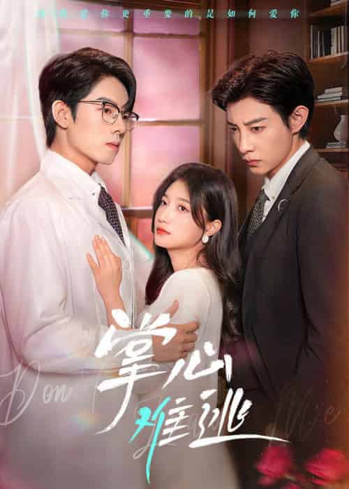 掌心难逃（63集全）马小宇＆兰岚＆曾辉-搜外项目网