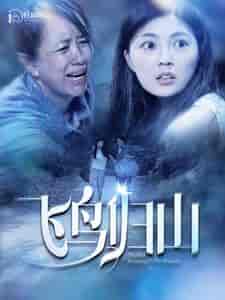 飞鸟归山(100集)邵迪-搜外项目网
