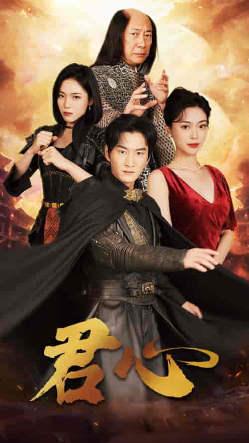 君心(92集)王美淇-搜外项目网