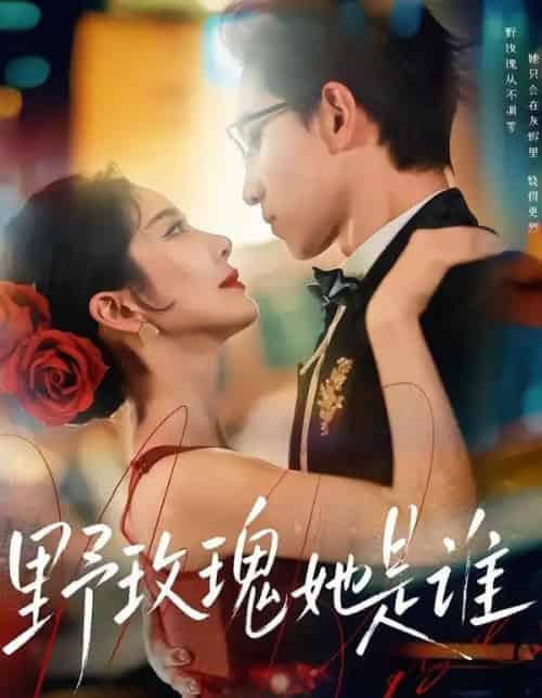 野玫瑰她是谁（84集全）李叙洲＆王小橙-搜外项目网