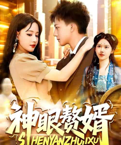 神眼赘婿(94集)韩雨男&城城-搜外项目网