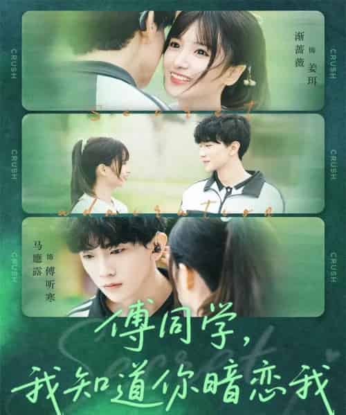 傅同学,我知道你暗恋我(59集全)马應露&渐蔷薇-搜外项目网