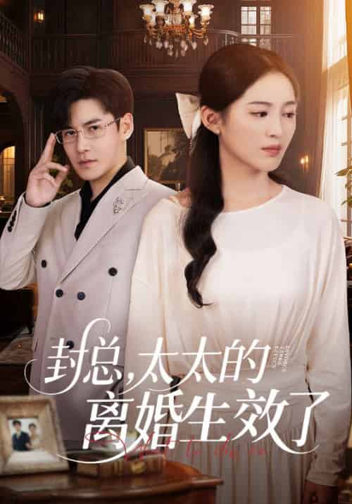 封总，太太的离婚生效了＆封总太太的离婚生效了（82集全）崔秀子＆李子锋-搜外项目网