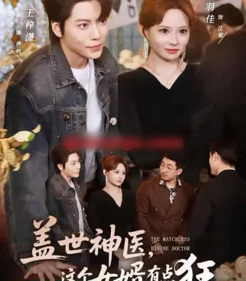 盖世神医,这个女婿有点狂(81集全)陈羽佳&王梓潇-搜外项目网