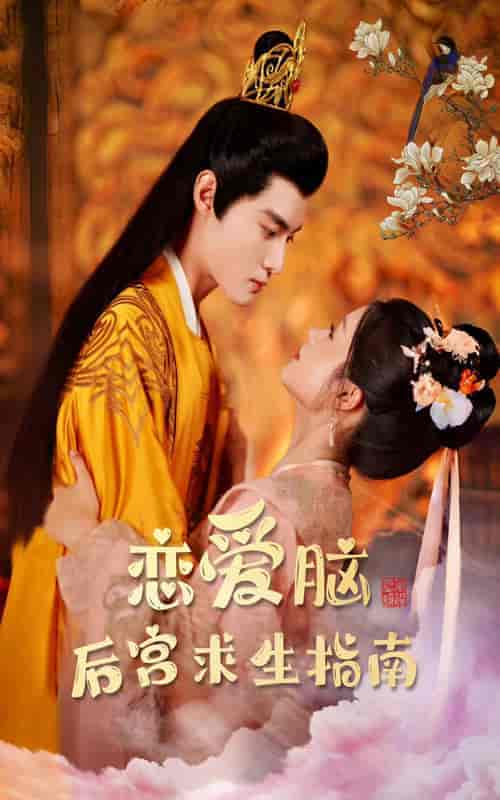 恋爱脑后宫求生指南（78集）余茵-搜外项目网