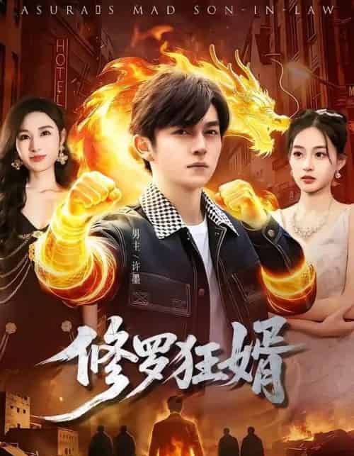 修罗狂婿（114集全）鸡翅＆文昕-搜外项目网