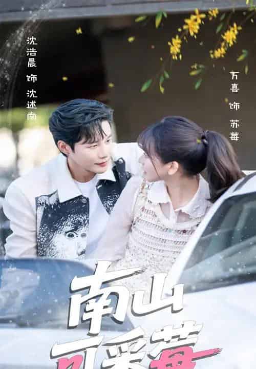 南山可采莓(66集)沈浩晨&徐波滴(万喜)-搜外项目网