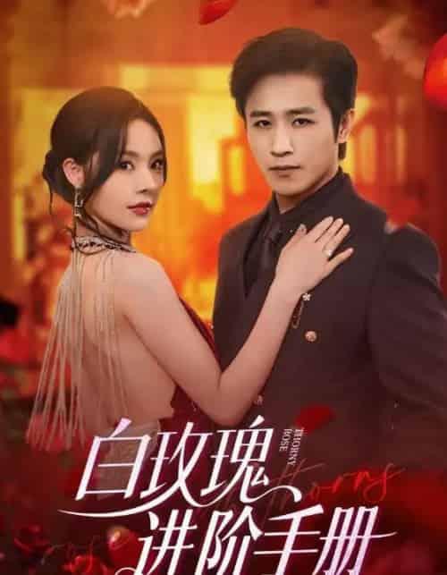 白玫瑰进阶手册（64集）古铭瀚＆赵西-搜外项目网