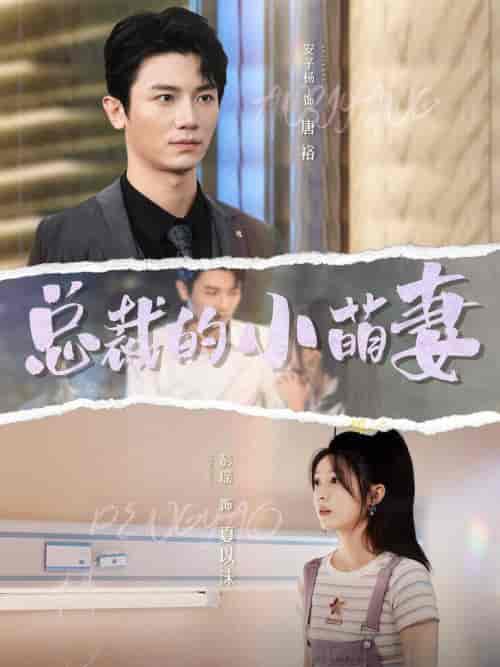 总裁的小萌妻（89集全）彭瑶＆安子杨-搜外项目网