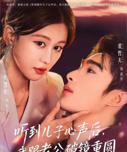 听到儿子心声后，我跟老公破镜重圆（71集全）裘哲夫＆柴慧欣-搜外项目网