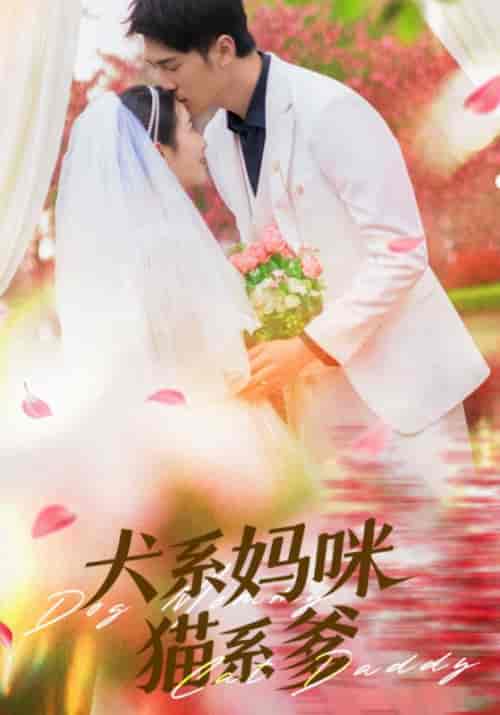 犬系妈咪猫系爹（79集全）顾子辰＆赵灵儿-搜外项目网