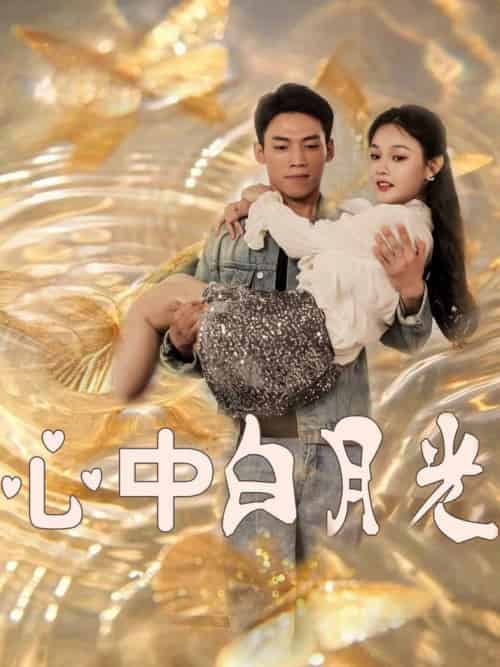 心中白月光（100集全）苏晓言-搜外项目网