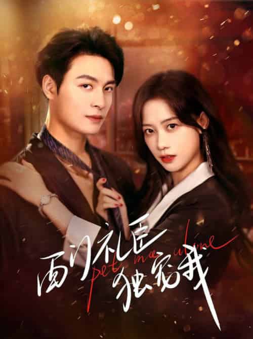 西门礼臣独宠我（80集全）刘叁肆＆康渝茜-搜外项目网