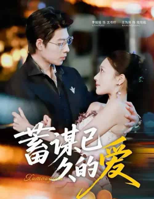 蓄谋已久的爱（64集全）王为洋＆李瑶瑶-搜外项目网