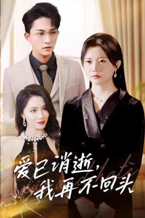 爱已消逝我再不回头（31集全）李家圆子-搜外项目网