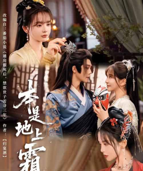 本是地上霜(65集)万喜&李俊辰-搜外项目网