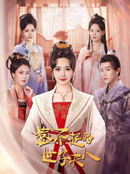 惹不起的世子夫人(80集全)马烁棋&徐东艺-搜外项目网