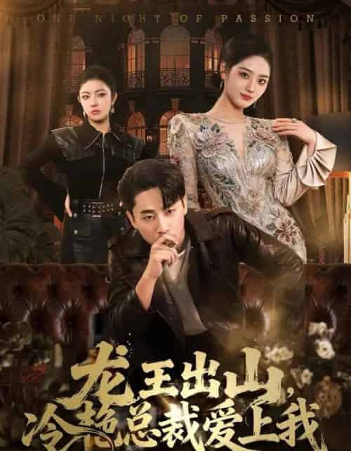 龙王出山,冷艳总裁爱上我(80集全)郭嘉琦&宋宇欣-搜外项目网