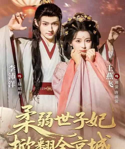 柔弱世子妃掀翻全京城(70集全)李沛洋&王燕飞-搜外项目网