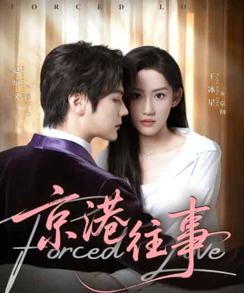 京港往事（80集全）赵垣又＆王冰星-搜外项目网