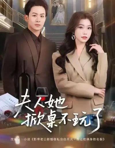 夫人她掀桌不玩了（60集全）一飞＆陈瑞-搜外项目网