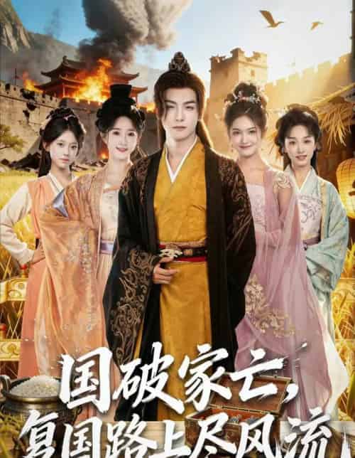 国破家亡，复国路上尽风流（83集全）黄子淇＆张乙萌-搜外项目网