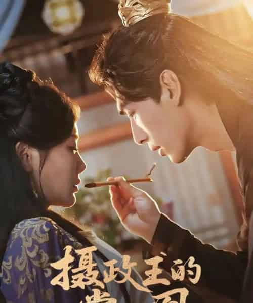 摄政王的掌心凰（63集）张文渊＆孟璐-搜外项目网