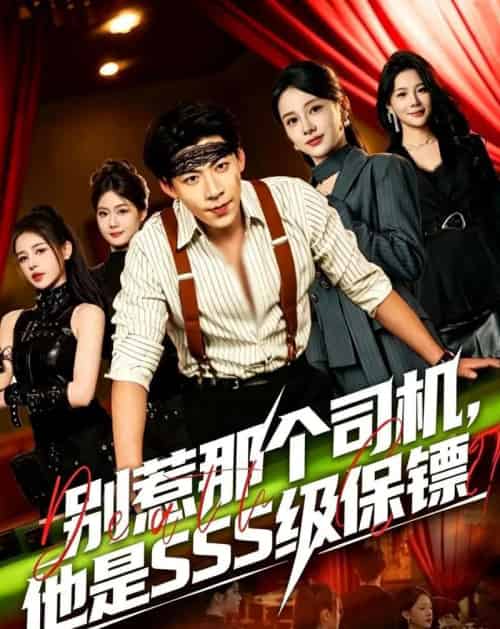 别惹那个司机,他是SSS级保镖(80集全)王为洋&宋佳佳-搜外项目网