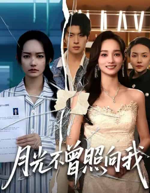 月光不曾照向我（60集全）齐宥澄＆洪佳-搜外项目网