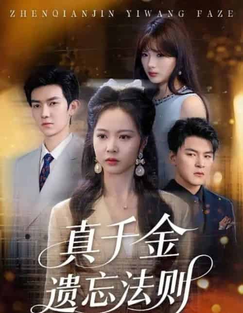 真千金遗忘法则(58集)王旭&姚慧-搜外项目网