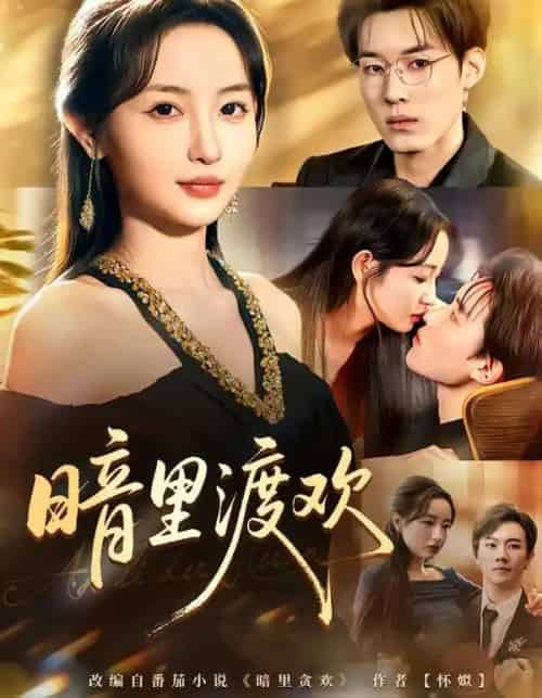 暗里渡欢（80集全）王子岳＆刘玥-搜外项目网
