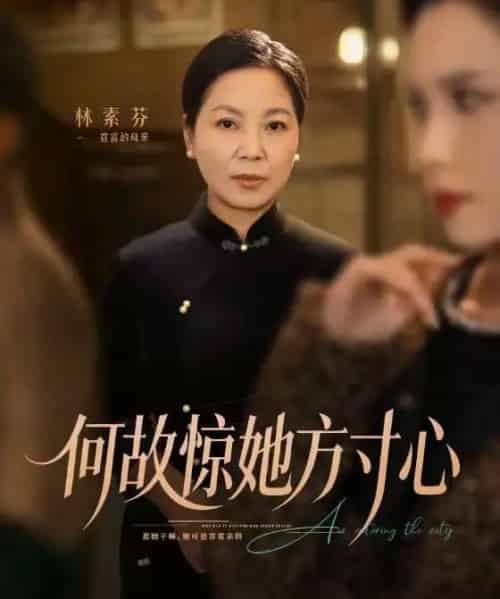 何故惊她方寸心（65集全）杨江霞＆田煜玮-搜外项目网