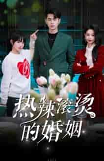 热辣滚烫的婚姻(73集)贾翼萱-搜外项目网